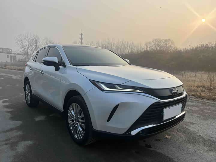 Toyota Harrier 2023 2023款 2.0L CVT两驱尊享版