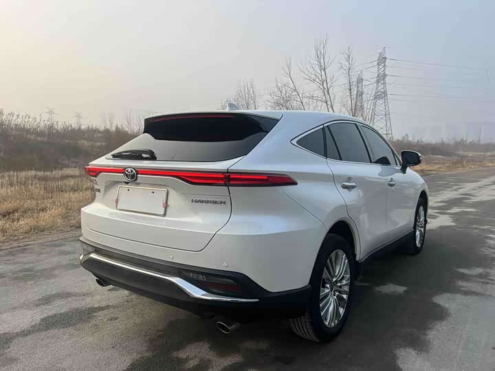 Toyota Harrier 2023 2023款 2.0L CVT两驱尊享版