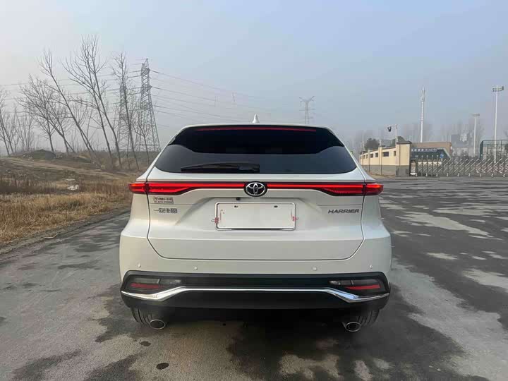 Toyota Harrier 2023 2023款 2.0L CVT两驱尊享版