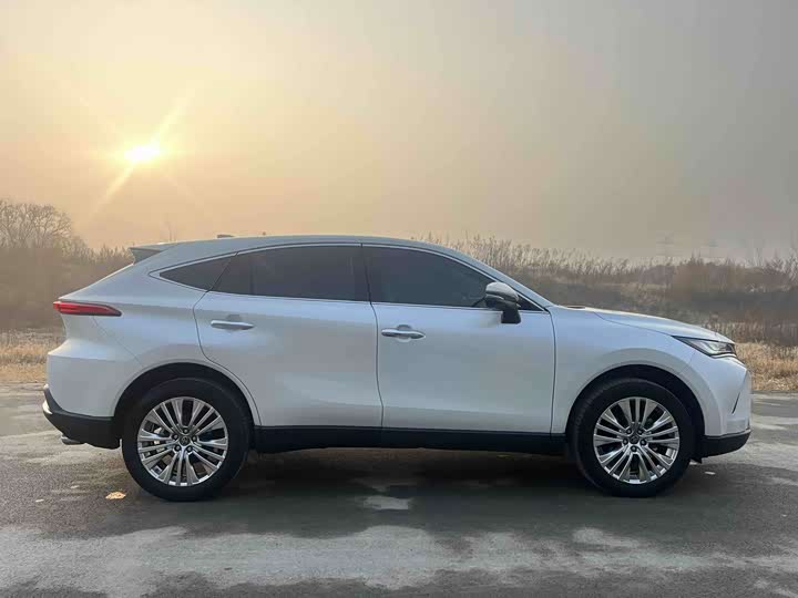 Toyota Harrier 2023 2023款 2.0L CVT两驱尊享版