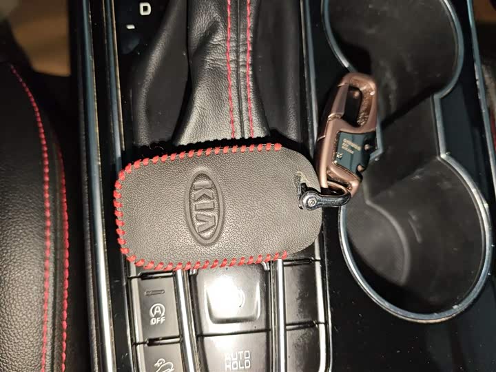 Kia KX5 2019 2019款 2.0L 自动两驱时尚版