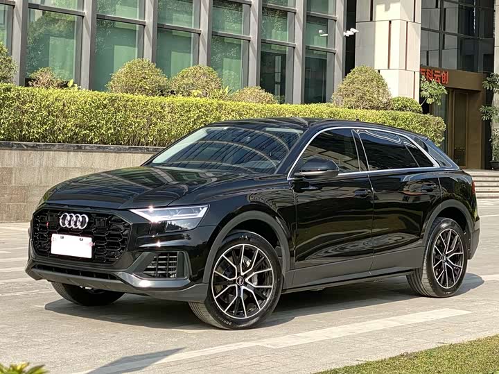 Audi Q8 2022 2022款 55 TFSI 豪华动感型