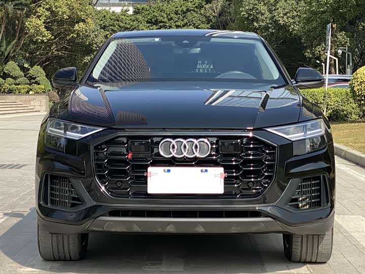 Audi Q8 2022 2022款 55 TFSI 豪华动感型