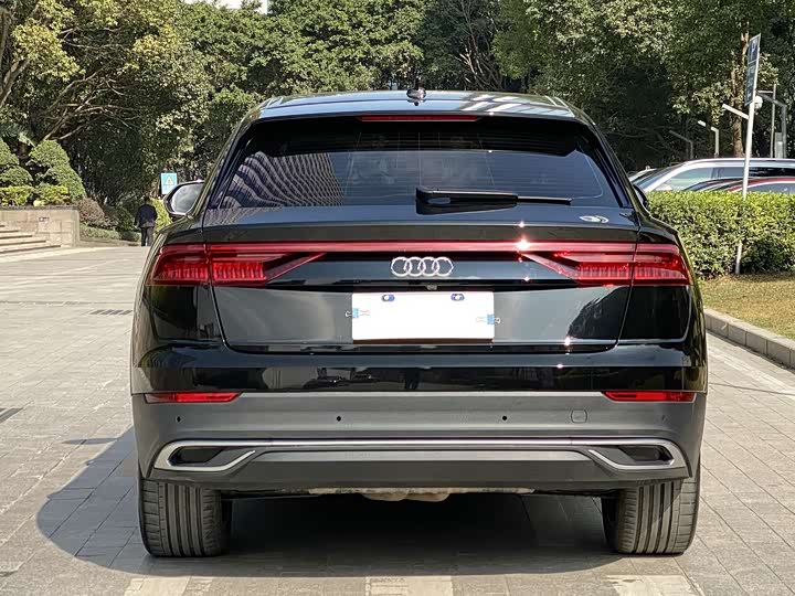 Audi Q8 2022 2022款 55 TFSI 豪华动感型