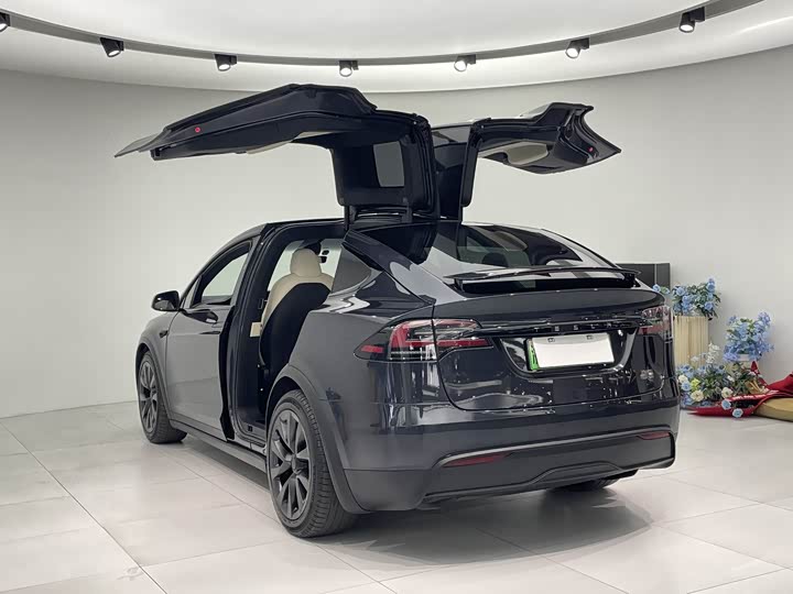 Tesla Model X 2023 2023款 三电机全轮驱动 Plaid版