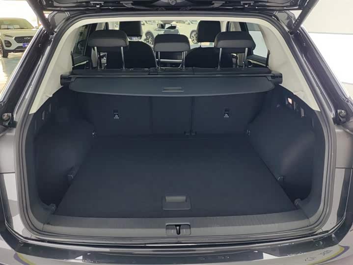 Volkswagen Tayron 2024 2024款 300TSI 两驱豪华Plus进阶版