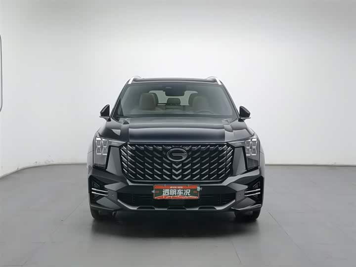 GAC Trumpchi GS8 2025 2025款 领航系列 2.0TGDI 两驱豪华版 5座