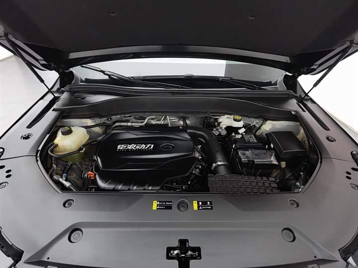 GAC Trumpchi GS8 2025 2025款 领航系列 2.0TGDI 两驱豪华版 5座