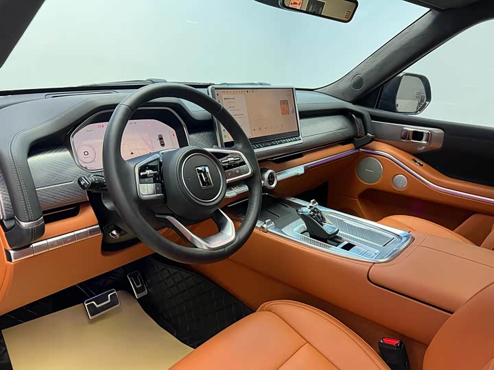 Tank 700 Hybrid 2024 2024款 Hi4-T 极境版