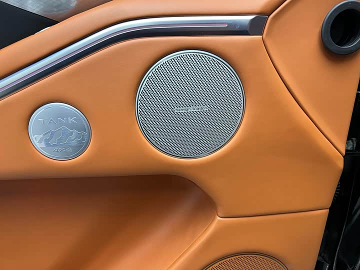 Tank 700 Hybrid 2024 2024款 Hi4-T 极境版