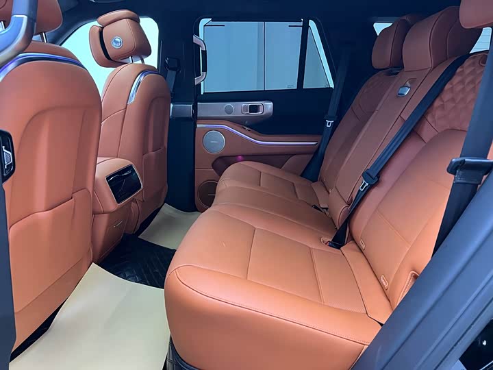 Tank 700 Hybrid 2024 2024款 Hi4-T 极境版