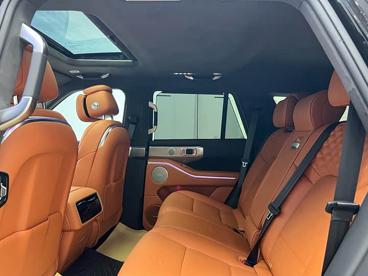 Tank 700 Hybrid 2024 2024款 Hi4-T 极境版