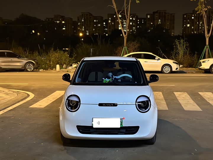 Changan Qiyuan (Nevo) Lumin 2025 2025款 205km 香沁款