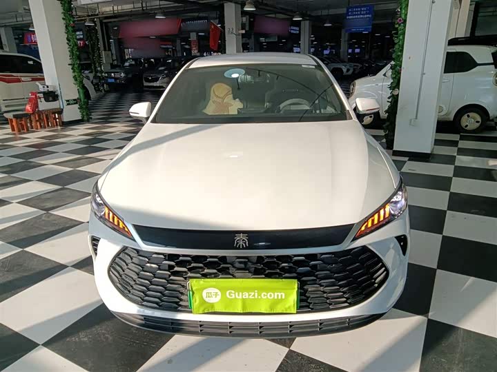 BYD Qin Plus 2025 2025款 DM-i 智驾版 55KM领先型