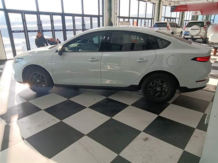 BYD Qin Plus 2025 2025款 DM-i 智驾版 55KM领先型