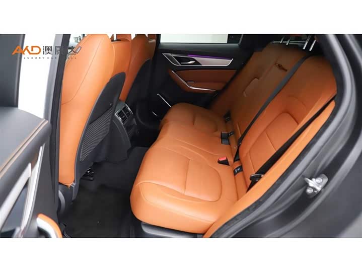 Jaguar F-Pace 2024 2024款 P250 R-Dynamic SE