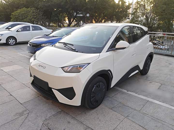 BYD Seagull 2025 2025款 305km 活力版