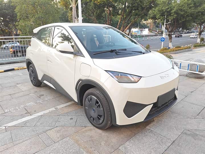 BYD Seagull 2025 2025款 305km 活力版