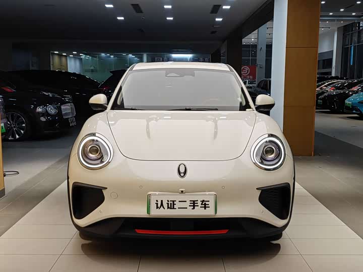 Ora Good Cat GT (03 GT) 2022 2022款 木兰版 480km长续航