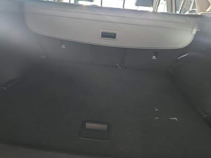 Volkswagen Tayron X 2020 2020款 330TSI 两驱旗舰智联版