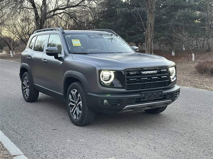 Haval Dargo 2026 2026款 2.0T DCT中华田园犬版