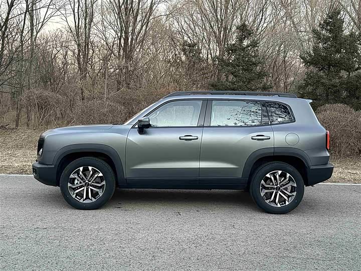 Haval Dargo 2026 2026款 2.0T DCT中华田园犬版