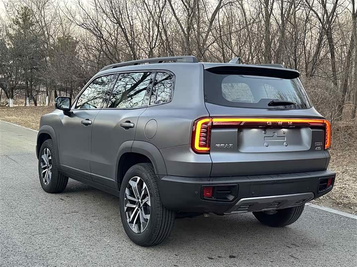 Haval Dargo 2026 2026款 2.0T DCT中华田园犬版