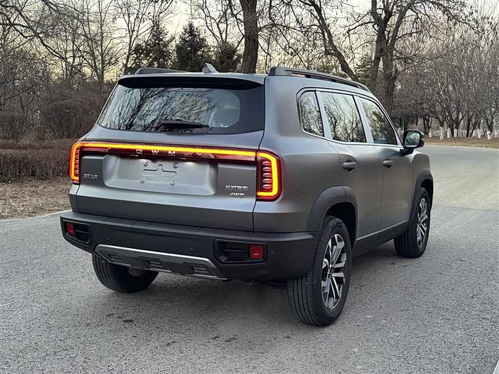 Haval Dargo 2026 2026款 2.0T DCT中华田园犬版