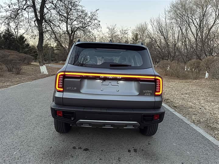 Haval Dargo 2026 2026款 2.0T DCT中华田园犬版