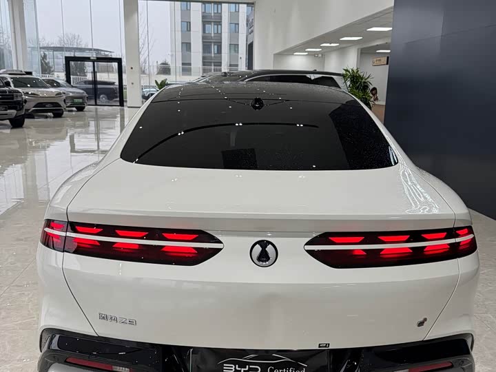 Denza Z9 2024 2024款 1100km 四驱Max版