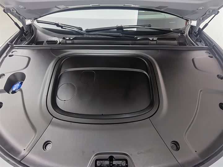 Hozon S Hunting 2024 2024款 增程300 Pro版