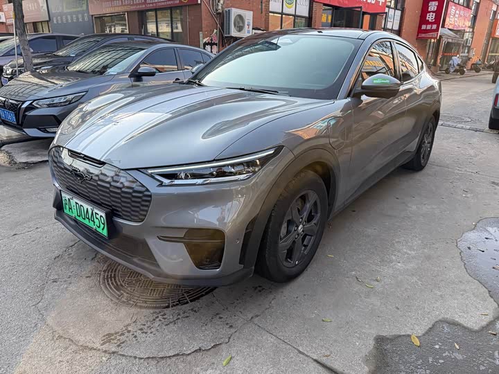 Ford Mustang Mach-E 2021 2021款 跃世后驱版(标准续航)