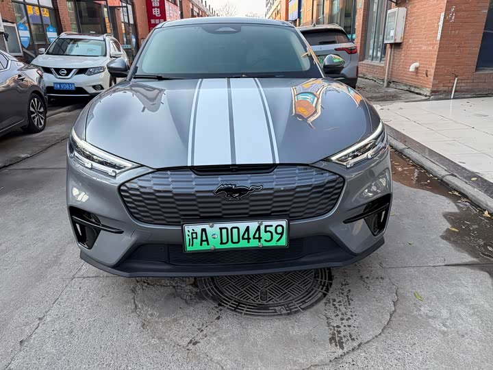 Ford Mustang Mach-E 2021 2021款 跃世后驱版(标准续航)