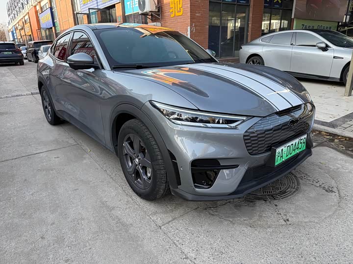 Ford Mustang Mach-E 2021 2021款 跃世后驱版(标准续航)
