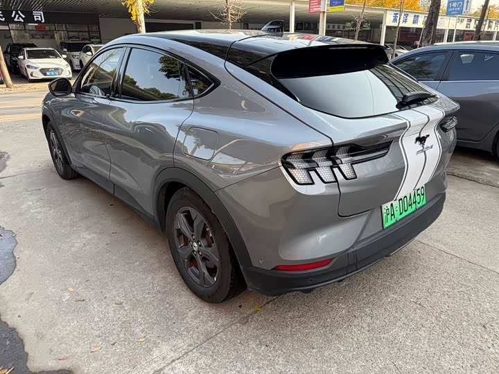Ford Mustang Mach-E 2021 2021款 跃世后驱版(标准续航)
