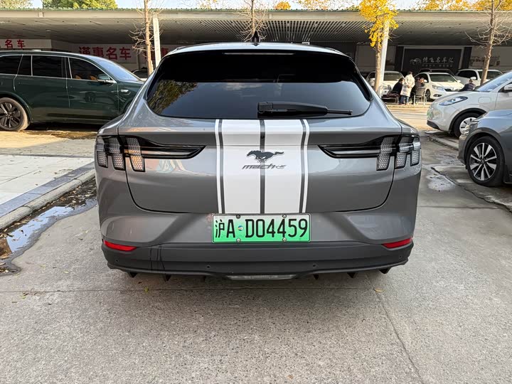 Ford Mustang Mach-E 2021 2021款 跃世后驱版(标准续航)