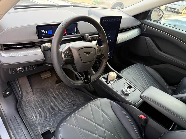 Ford Mustang Mach-E 2021 2021款 跃世后驱版(标准续航)