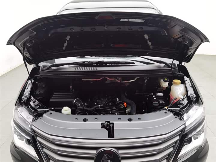 Dongfeng Forthing Lingzhi M5 2025 2025款 M5 1.6L 长轴基本型 5座