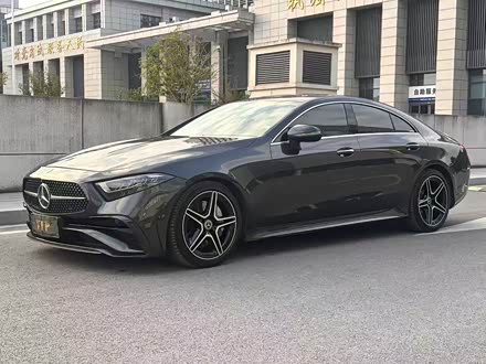 Mercedes-Benz CLS-Class 2023 2023款 CLS 300 动感型