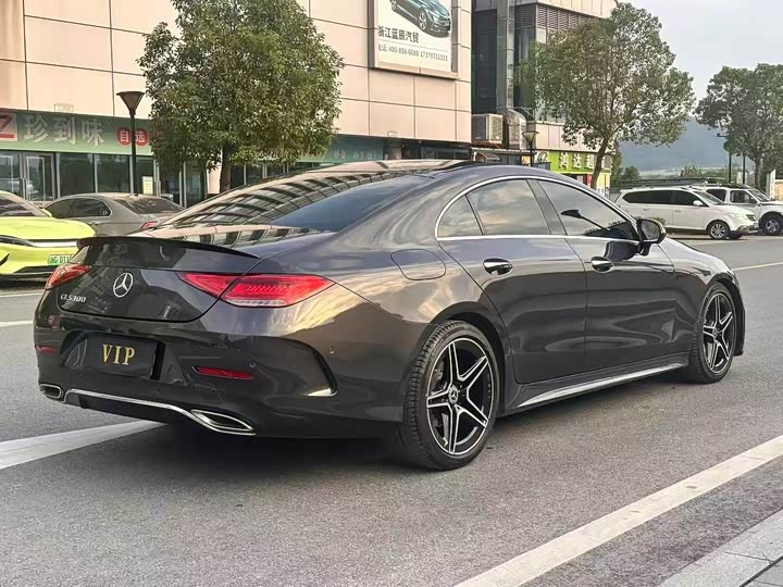Mercedes-Benz CLS-Class 2023 2023款 CLS 300 动感型