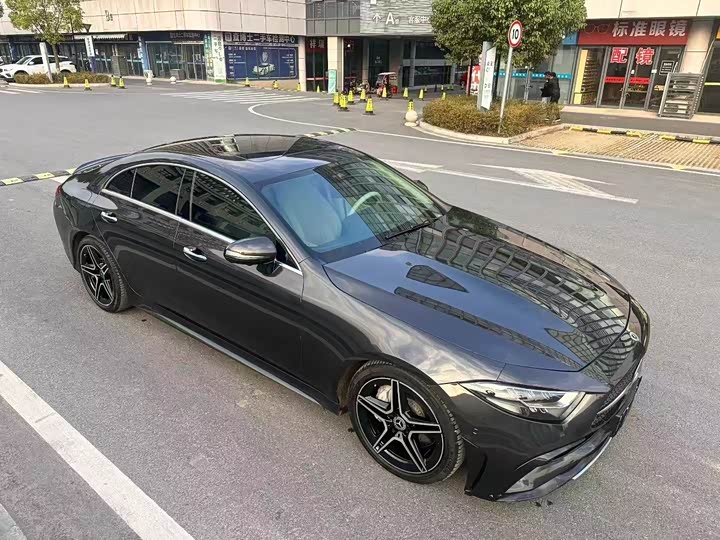Mercedes-Benz CLS-Class 2023 2023款 CLS 300 动感型