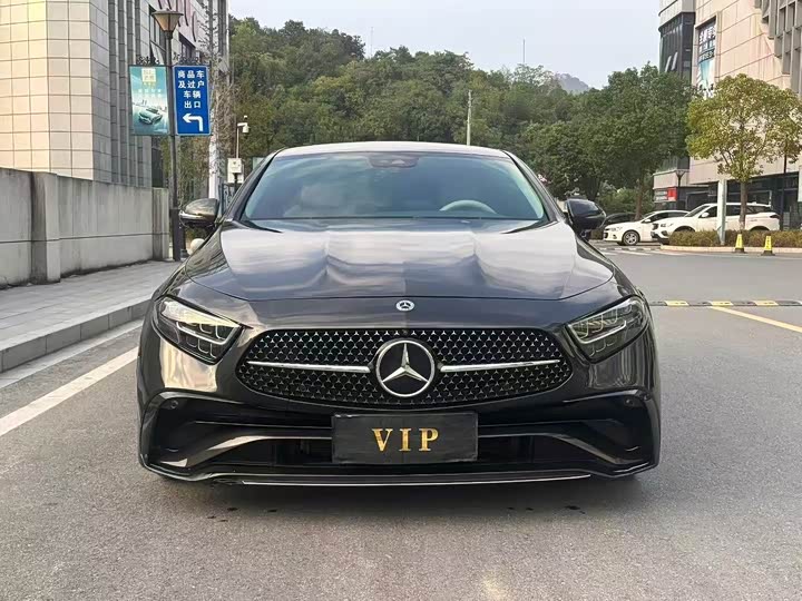Mercedes-Benz CLS-Class 2023 2023款 CLS 300 动感型
