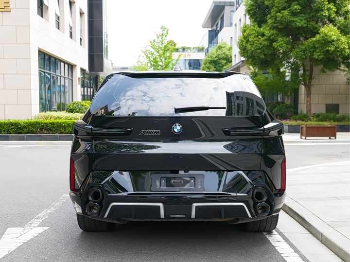 BMW XM 2023 2023款 50e