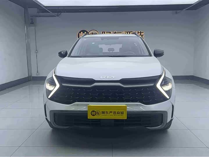 Kia Sportage 2023 2023款 1.5T 两驱尊贵版