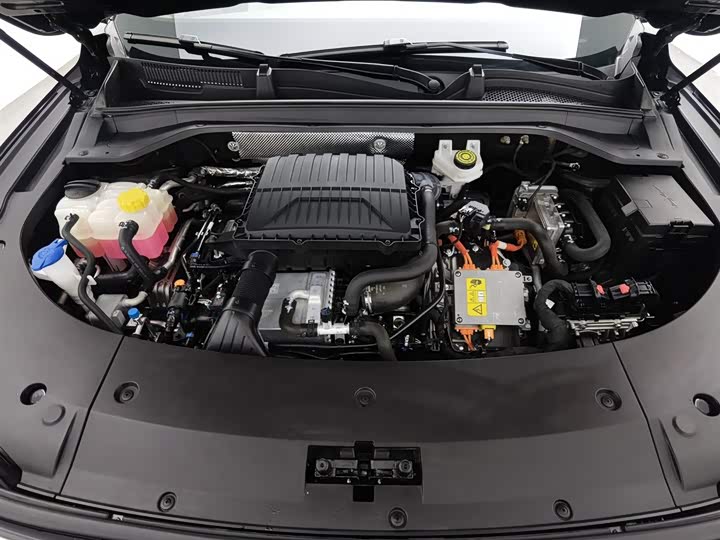 Exeed RX C-DM Hybrid 2024 2024款 1.5T 长续航Pro