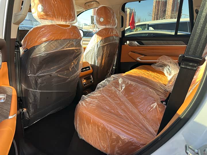 Tank 500 Hybrid 2026 2026款 Hi4-T