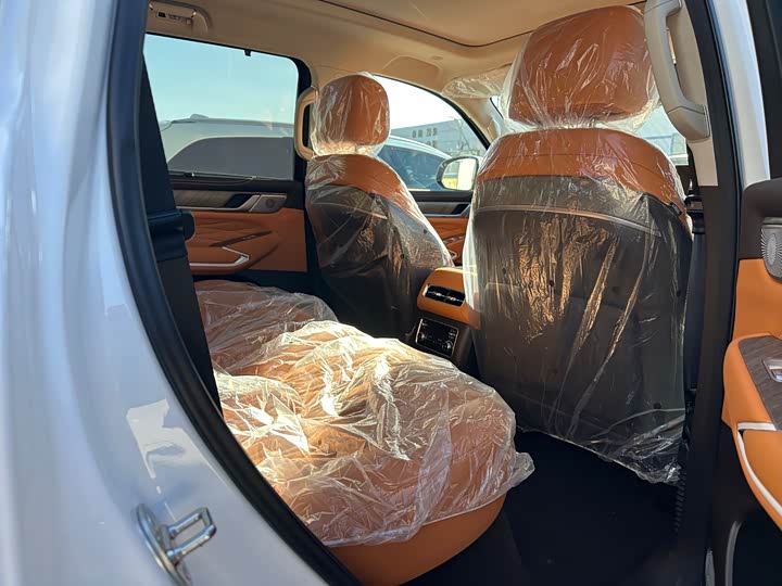 Tank 500 Hybrid 2026 2026款 Hi4-T