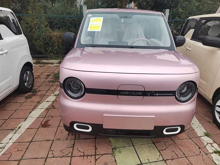 Geely Galaxy Panda Mini 2025 2025款 熊猫mini 210km 元气熊