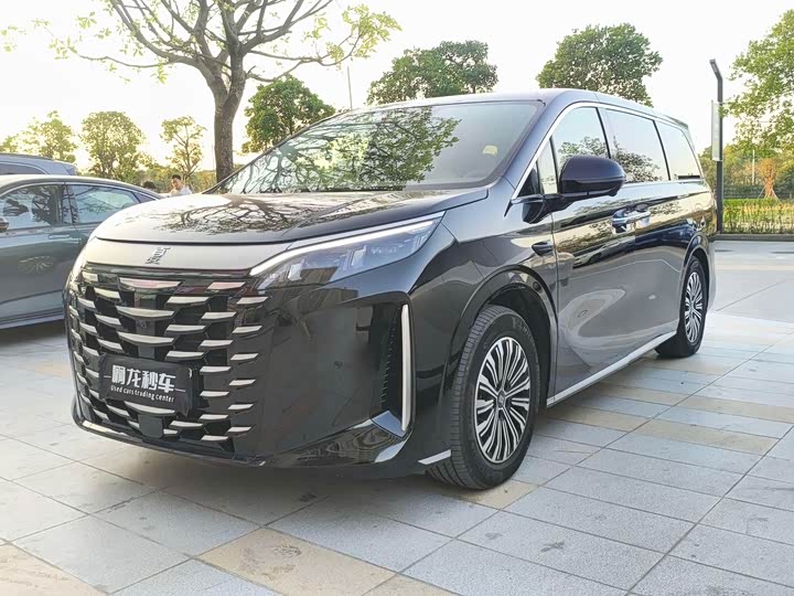 BYD Xia 2025 2025款 DM-i 1.5T 180km 卓越型