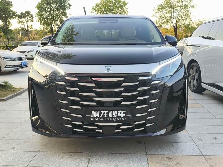 BYD Xia 2025 2025款 DM-i 1.5T 180km 卓越型